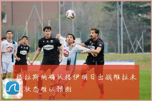 格拉斯纳确认格伊明日出战维拉未来状态难以预测